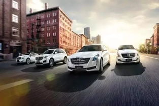 遼寧鑫卡迪汽車(chē)銷(xiāo)售服務(wù) 購(gòu)車(chē)熱線(xiàn)400-890-5073全面解析